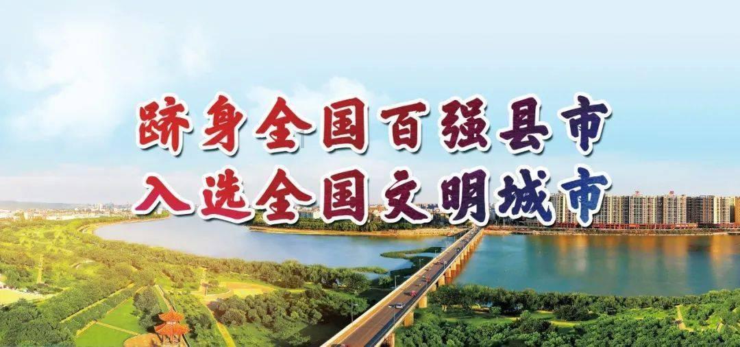 可爱小猫向上跳