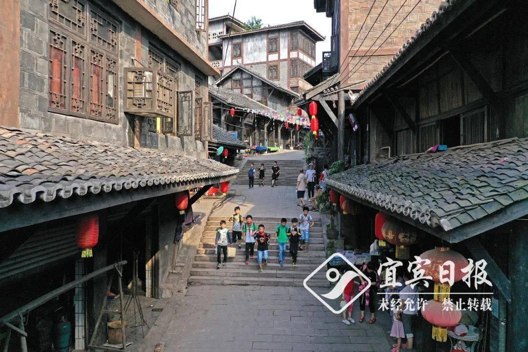 滚动的奶酪